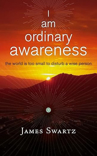 I Am Ordinary Awareness cover